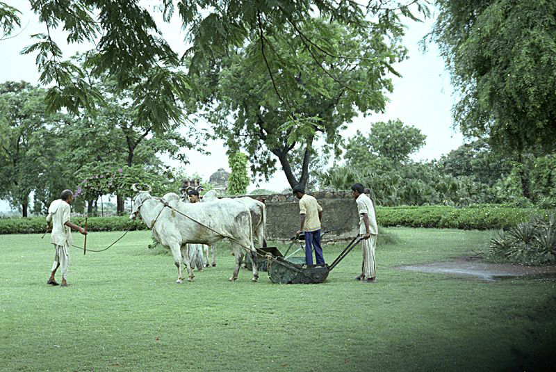 Chandigarh 1978